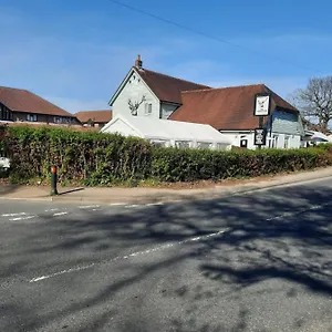 The Roebuck Southampton