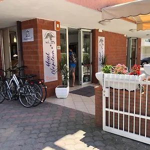 https://hotel-napoleon-riccione.riccione-hotels.org